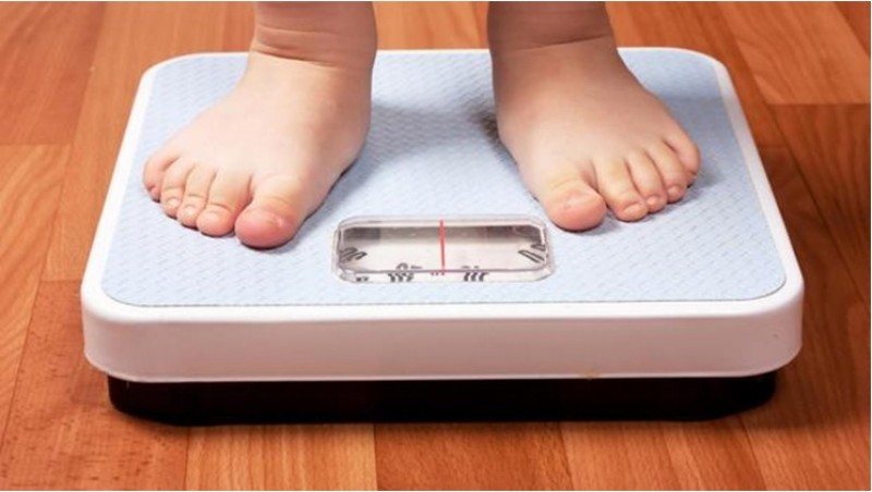Thừa đạm những năm đầu đời sẽ gây béo phì ở trẻ nhỏ