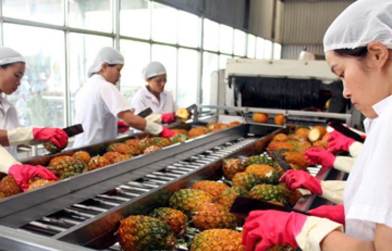 Nông sản: Điểm sáng trong giao lưu thương mại Việt Nam - Hàn Quốc