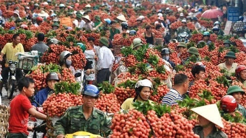 bo cong thuong ho tro bac giang tim dau ra cho nong san