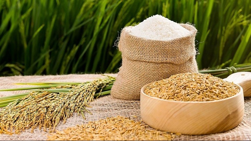 To help companies in Vietnam and Côte d'Ivoire promote bilateral trade