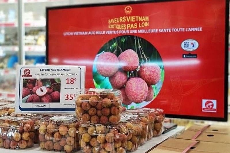 Vải thiều Thanh Hà (Hải Dương) được bán trên kệ hàng siêu thị Á Châu (Pháp). Ảnh: Cục Xúc tiến thương mại.