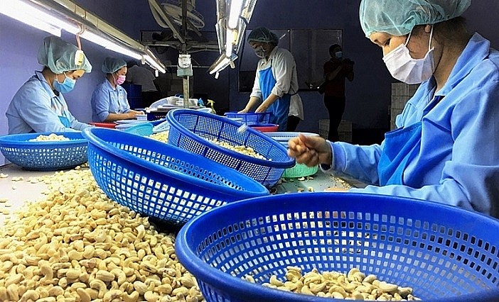 Xuất khẩu ngày 17-19/6: Số phận 100 container hạt điều của Việt Nam nghi bị lừa đạo tại Italy giờ ra sao?; Xuất khẩu ngày 17-19/6: Số phận 100 container hạt điều của Việt Nam nghi bị lừa đạo tại Italy giờ ra sao?;
