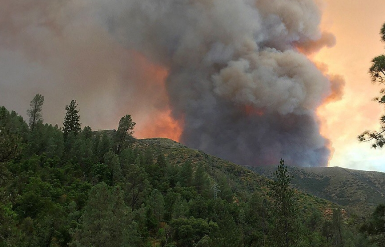 Mỹ: Diện tích cháy rừng ở bang California tăng gần gấp đôi