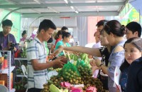 ho tro nong dan thoat canh ca rot duoc mua mat gia