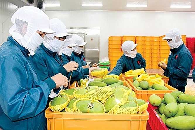'Cửa sáng' cho xuất khẩu rau quả Việt tại thị trường Anh