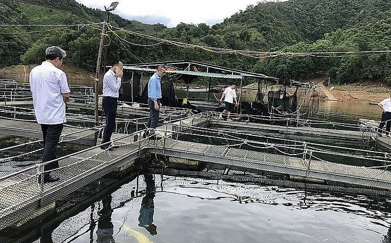 Tourists in a visit to the sturgeon farming area. (Photo: Thanh Tam)