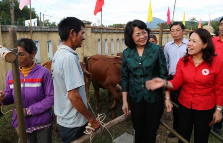 Trao 55 bò giống cho người dân nghèo tỉnh Quảng Ngãi