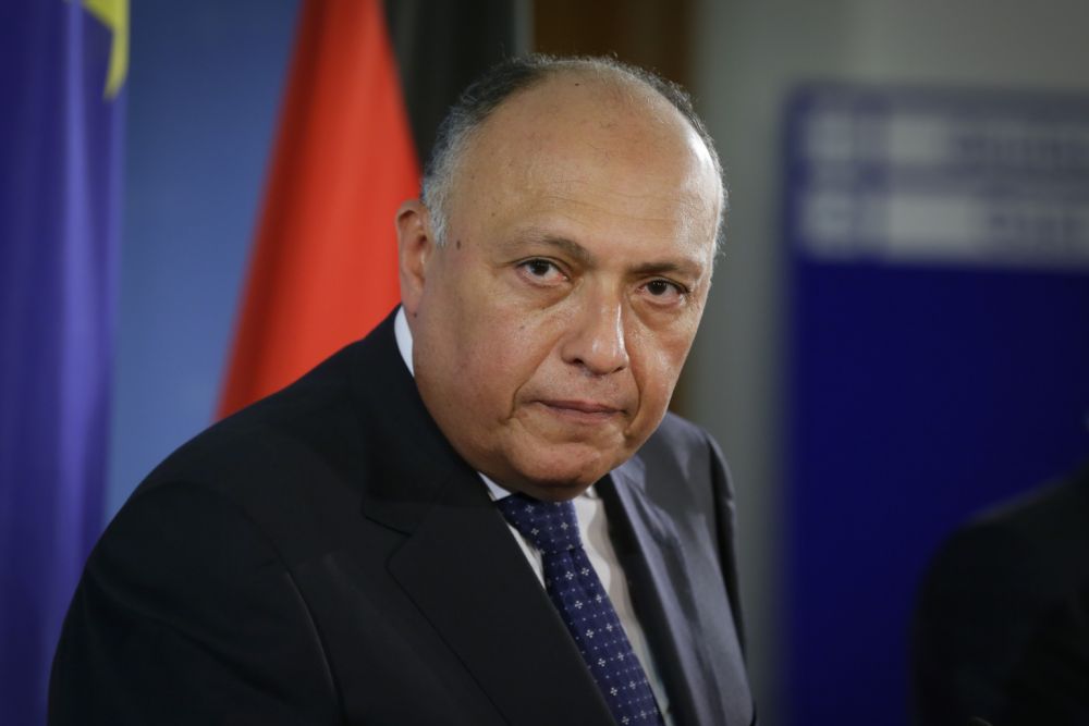 Ngoại trưởng Ai Cập, Đức thảo luận về tình hình Libya, Palestine