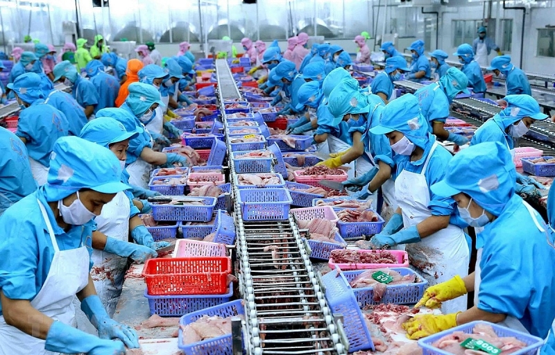 Hàng thủy sản Việt Nam hấp dẫn doanh nghiệp Quảng Châu, Trung Quốc