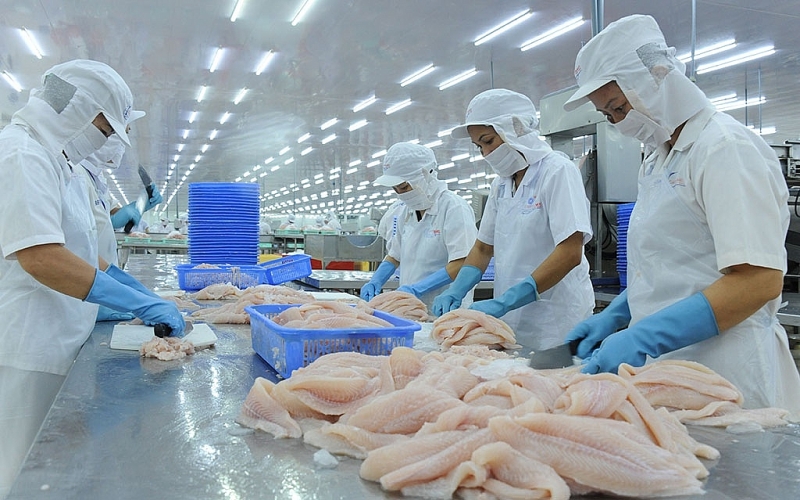 Năm 2030, Việt Nam phấn đấu đạt giá trị kim ngạch xuất khẩu thủy sản 14 - 16 tỷ USD