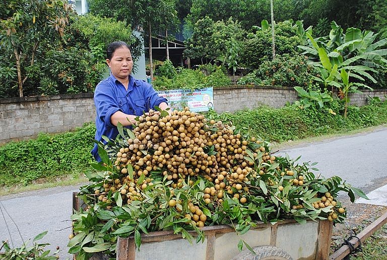 Xuất khẩu ngày 8-12/8: