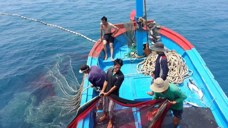 xuat khau ngay 12148 nganh thuy san co nguy co mat 500 trieu usdnam vi the vang iuu xuat khau ca tra sang mexico khoi sac