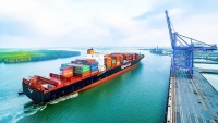 Nửa đầu tháng 9, kim ngạch xuất nhập khẩu hàng hóa vượt 526 tỷ USD
