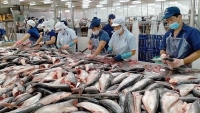 Xuất khẩu ngày 26-28/8: Tám tháng năm 2022, Việt Nam xuất siêu 3,96 tỷ USD; thị trường CPTPP chuộng cá tra Việt