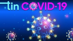 Cập nhật 7h ngày 13/9: Gần 29 triệu người nhiễm Covid-19, Ấn Độ liên tiếp lập kỷ lục về số ca nhiễm mới