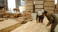 Hoa Kỳ gia hạn kết luận điều tra lẩn tránh thuế chống bán phá giá gỗ dán từ Việt Nam