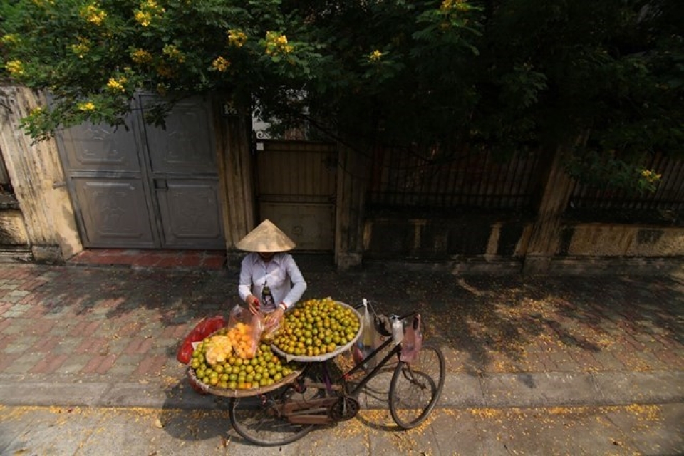 bac bo troi mat trung bo tiep tuc co mua to va dong