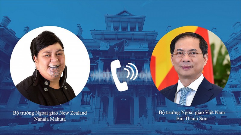 Việt Nam-New Zealand: Phối hợp tốt chuẩn bị cho Tuần lễ Cấp cao APEC 2021