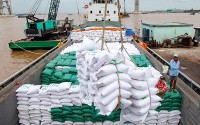 Xuất khẩu ngày 3-7/10: Giá gạo Việt Nam lấy lại ngôi đầu thế giới; xuất khẩu điều 'giảm tốc' vì xung đột Nga-Ukraine