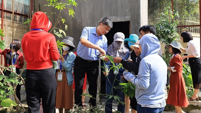 EU hỗ trợ địa phương Việt Nam nâng cao chất lượng trái cây có múi