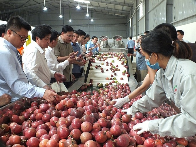 Sâu sắc thêm dòng chảy thương mại Việt Nam – Trung Quốc