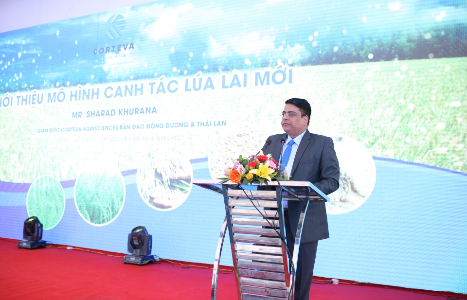 Công ty Mỹ giúp nông dân Việt Nam ứng dụng mô hình canh tác lúa lai mới