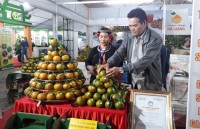 trao giai thuong vietfarm tu hao nong san viet 2018