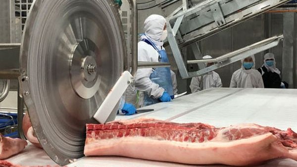 Giá heo hơi hôm nay 8/12: Giá heo hơi đồng loạt giảm, ngành thịt ở Mỹ trong tình trạng thừa cung