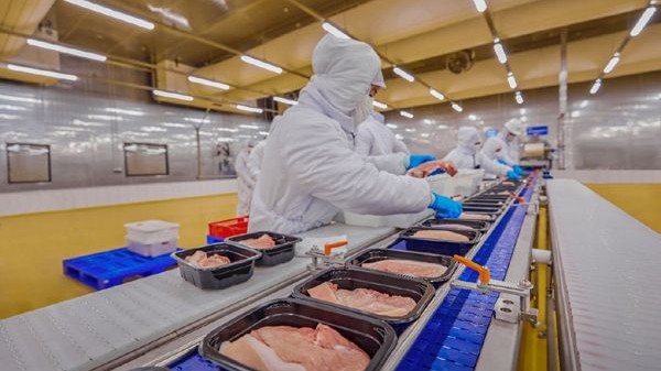 Giá heo hơi hôm nay 14/4: Giá heo hơi miền Nam đi lên, cao nhất 52.000 đồng/kg, giá thịt heo tại EU tăng kỷ lục