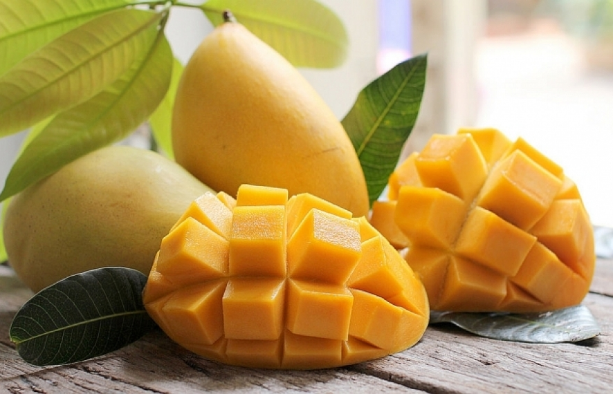 Vietnam officially begins mango exports to US