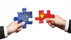 Hiệp định EVFTA: Xóa bỏ nghi ngờ về năng lực cung cấp của Việt Nam, hưởng ‘trái ngọt’ quan hệ thương mại Việt Nam-EU