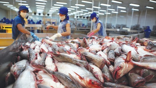 Campuchia hủy lệnh cấm nhập khẩu bốn loại cá da trơn từ Việt Nam