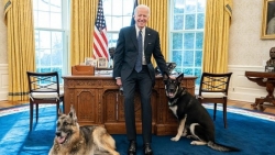Có gì đặc biệt tại ngôi nhà mới của Tổng thống Joe Biden?