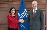 Tổng giám đốc wipo đánh giá cao hợp tác với việt nam