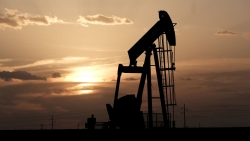 Giá xăng dầu hôm nay 5/6: Tiếp đà tăng nhẹ, giá dầu Brent và WTI đều xa mốc 80 USD/thùng