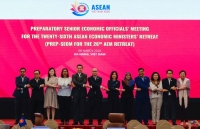 Việt Nam đề xuất 13 ưu tiên cho Hội nghị Bộ trưởng Kinh tế ASEAN hẹp (AEM) lần thứ 26