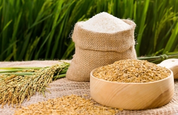 Bất chấp dịch Covid-19, kim ngạch xuất khẩu gạo Việt Nam sang Trung Quốc tăng hơn 700%