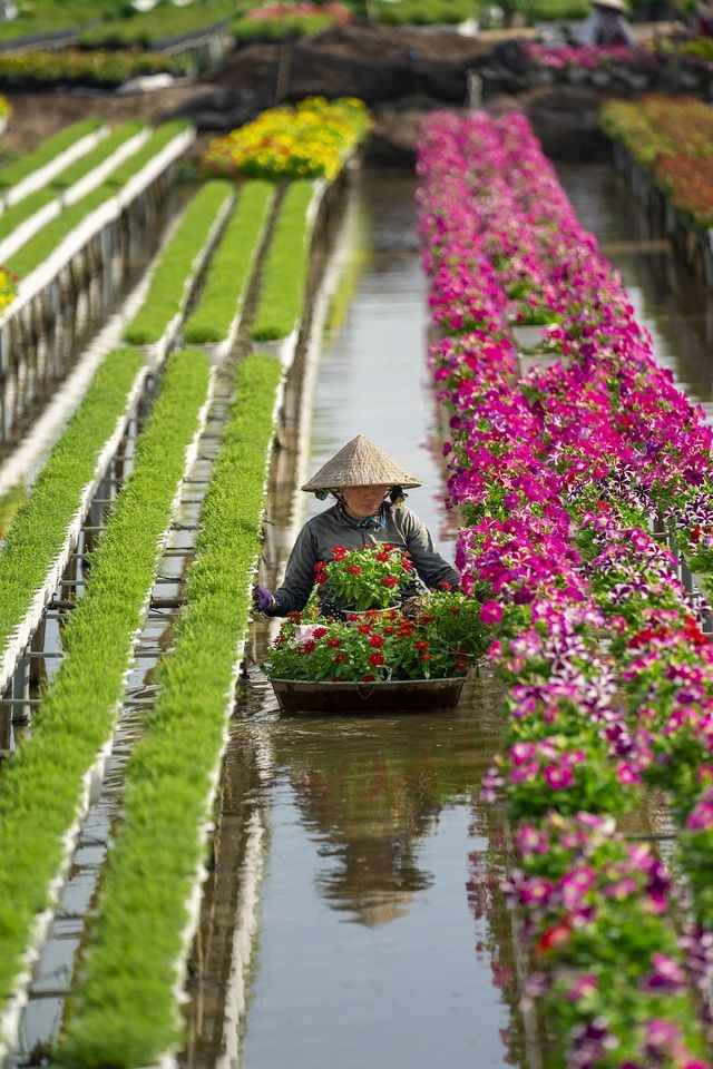 Khoảnh khắc đẹp nhất mùa Xuân năm 2020 gọi tên nhiếp ảnh gia Việt Nam