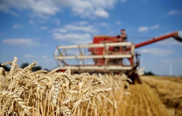 Mỹ chỉ trích Nga ngăn chặn Ukraine xuất khẩu lương thực. (Nguồn: Reuters)