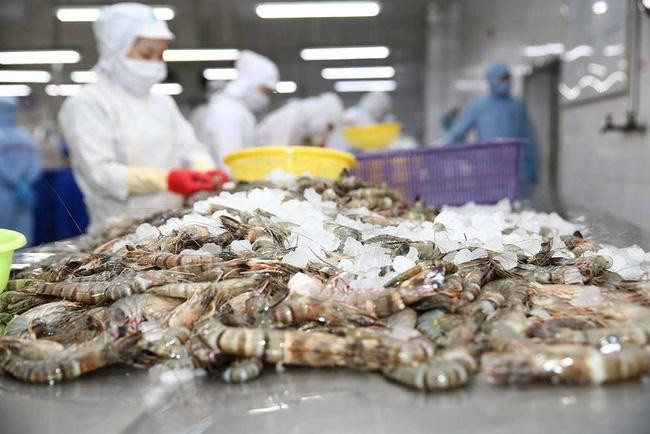 Doanh nghiệp Việt chưa tận dụng EVFTA nên một số mặt hàng xuất khẩu chủ lực của Việt Nam như hải sản dù tăng trưởng tốt, song chỉ chiếm một phần rất nhỏ trong tổng giá trị nhập khẩu các mặt hàng này của EU. (Nguồn:  (Ảnh: Nhã Chi)