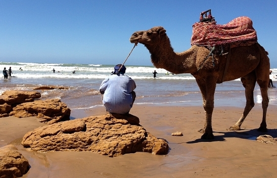 Morocco: "Cát tặc" hoành hành tại các bãi biển