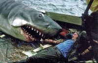 Những bức ảnh 'độc' lần đầu công bố về phim trường 'Hàm cá mập'