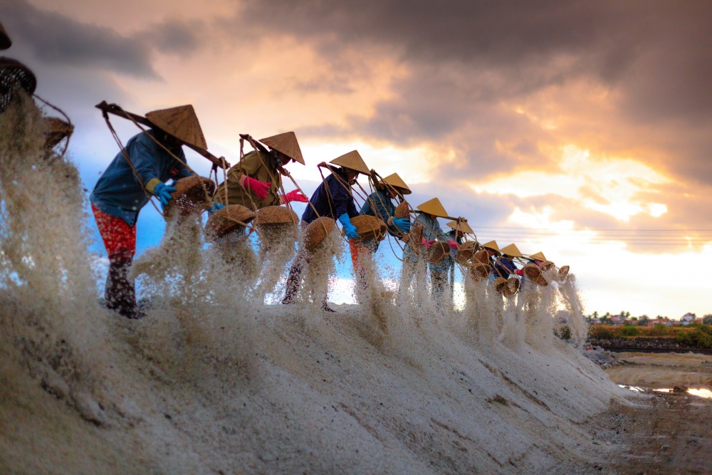 ninh thuan determined to develop by clean and green economic model