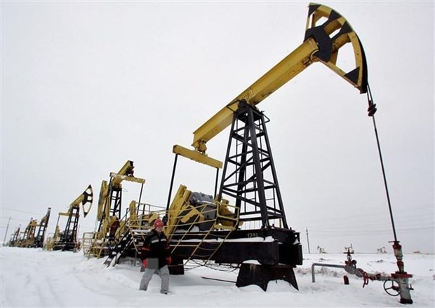 Trạm bơm tại giếng dầu Gremikhinskoye ở phía Đông Izhevsk, Nga. (Nguồn: The Moscow Times)