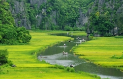 Tái cấu trúc ngành du lịch hậu Covid-19: Tìm 'cơ' trong 'nguy'