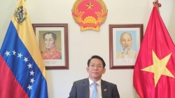 Đại sứ Lê Viết Duyên: Việt Nam cùng các thành viên ASEAN thực hiện kế hoạch tổng thể phục hồi hậu Covid-19