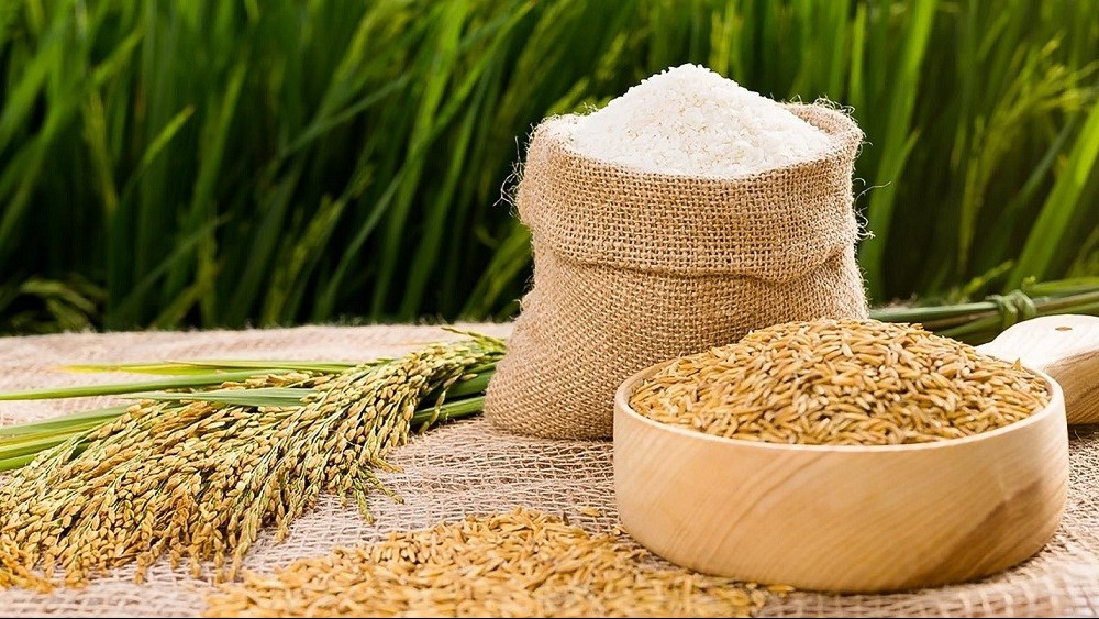 Xuất khẩu ngày 4-6/9: Xuất khẩu gạo vào thế bí, thủy sản ảm đạm, lưu ý mới về hàng hóa sang Ai Cập