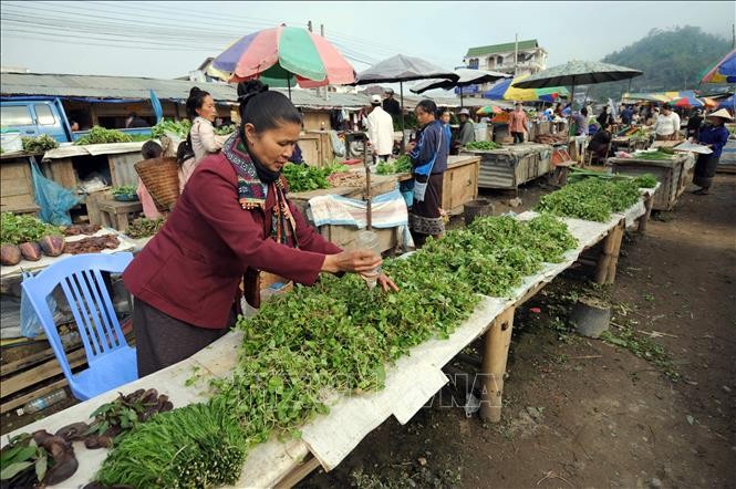 Rau củ được bán tại một khu chợ ở Sam Neua, tỉnh Houaphane, Lào. (Nguồn: AFP)