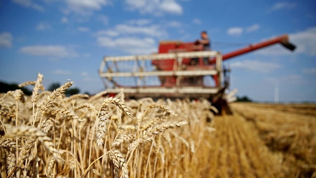 Nga chính thức quyết định hướng đi của thỏa thuận ngũ cốc, đã 'loan tin' đến Thổ Nhĩ Kỳ, Ukraine và LHQ