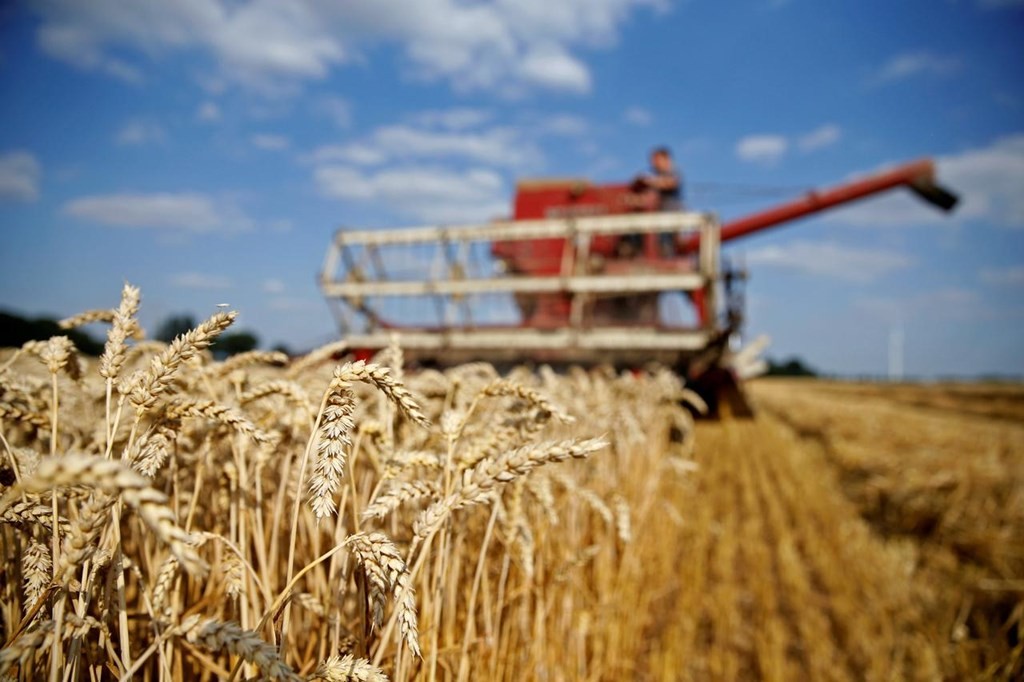 Ngũ cốc Ukraine: Ba Lan nới lệnh cấm, hàng hóa của Kiev vẫn không được bán tại Warszawa; Romania lên tiếng